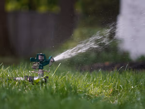 Gray metal building frame near tower crane during daytime